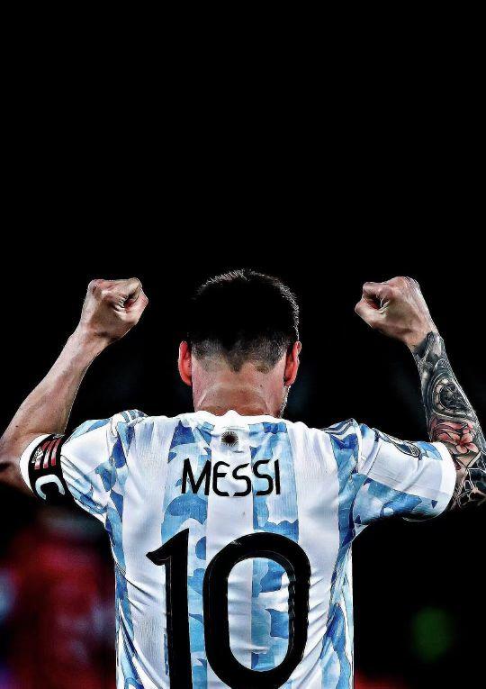 8个名次 8个名次